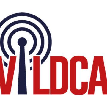 The Wildcast, Episode 114: Arizona hoops potpourri, NBA Summer League wrapup